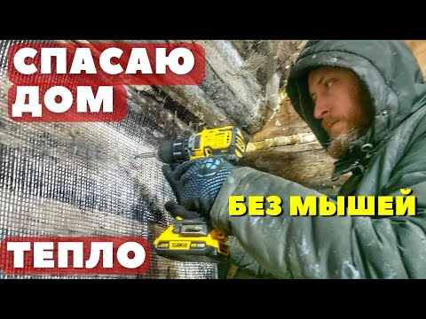 Видео: УТЕПЛИЛ СТЕНЫ ИЗНУТРИ! И защитил от мышей