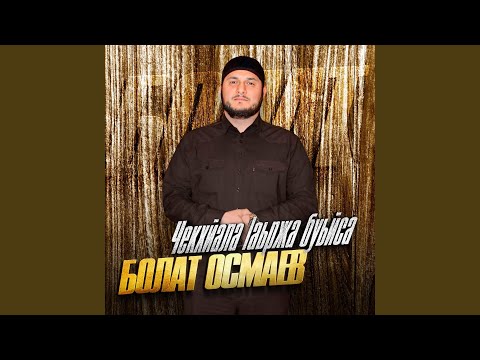 Видео: Чекхйала lаьржа буьйса