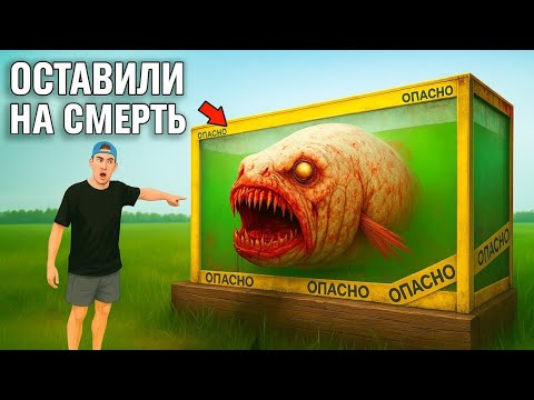Видео: Купил брошенную человеком рыбу и преобразил её дом!