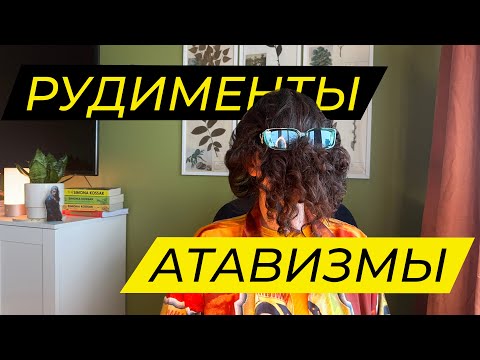 Видео: Рудименты и атавизмы к ЦЭ/ЦТ