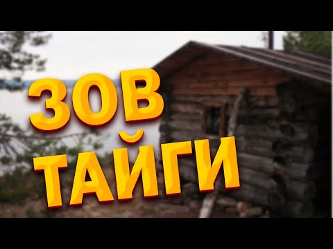 Видео: 💥/Невероятный случай произошедший с охотником в глухой тайге/