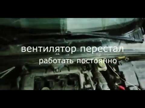 Видео: Peugeot 308  Ошибка p1338 постоянно работает вентилятор охлаждения