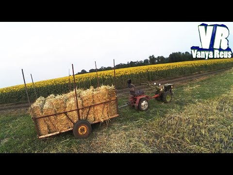 Видео: Заготовка сена🐮