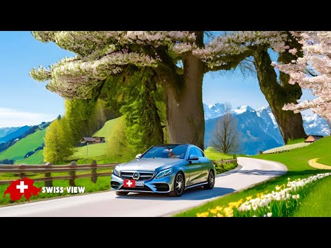 Видео: 🇨🇭ВЕЗДЕ В ШВЕЙЦАРИИ _ ЗАХВАТЫВАЮЩЕЕ ПУТЕШЕСТВИЕ📍БРИЕнц