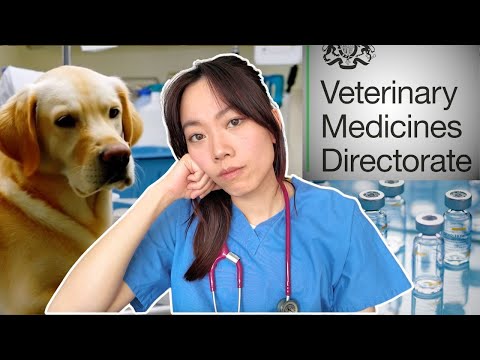 Видео: Правда о лептоспирозе у собак: вакцины, мифы, лечение