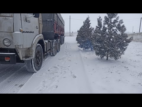 Видео: КАМАЗ зерновоз. Дела идут контора пишет...