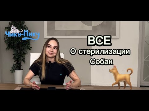 Видео: ВСЕ о стерилизации собак🐩 Недержание мочи, когда кастрировать, когда НЕЛЬЗЯ кастрировать и другое🔥