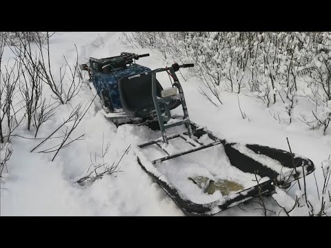 Видео: Один день в лесу на мотособаке Койра Богатырь с толкачем.