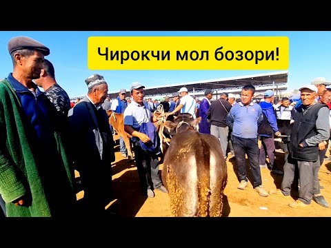 Видео: Чирокчи мол бозори нархлари 9.10.2024