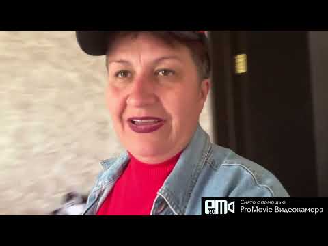 Видео: !ВЛОГ с Багирой❤️💃❗️#дневникбагиры