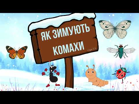 Видео: Як зимують комахи @videopresentazii