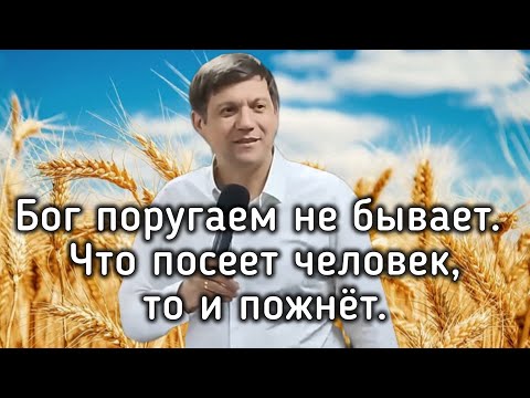 Видео: Бог поругаем не бывает.  Что посеет человек,  то и пожнёт.