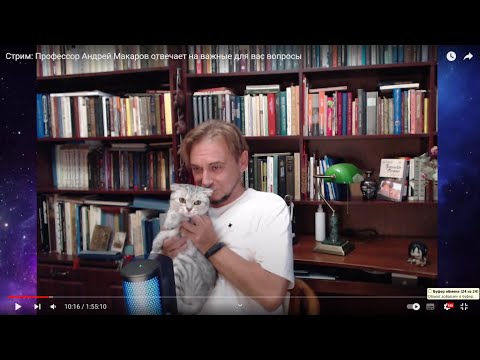 Видео: Стрим: Профессор Андрей Макаров отвечает на важные для вас вопросы