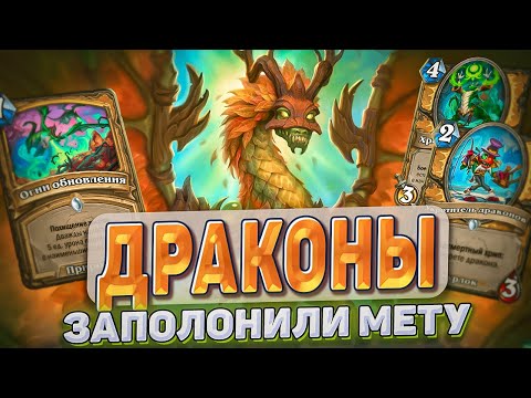Видео: Драконы заполонили мету! Паладин через заспам драконов! l Hearthstone