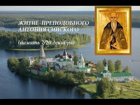 Видео: ЖИТИЕ ПРЕПОДОБНОГО АНТОНИЯ СИЙСКОГО,ИЕРОМОНАХА  (1556).