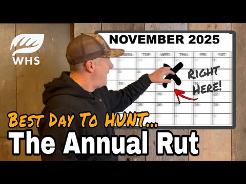 Видео: Лучший день гона для охоты в 2025 году