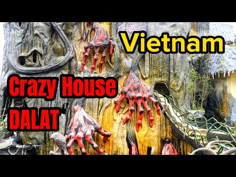 Видео: Сумасшедший дом. Далат, Вьетнам.