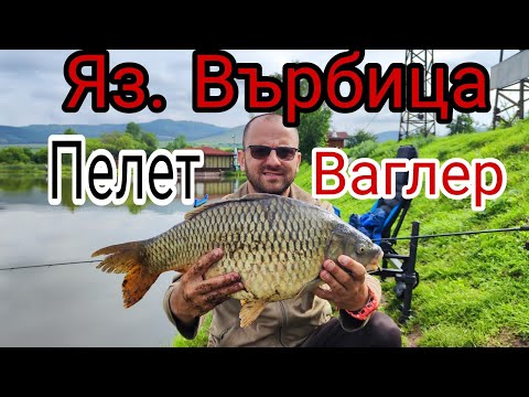 Видео: СПОРТНИ ШАРАНИ на ЯЗ. ВЪРБИЦА! РИБОЛОВ на ПЕЛЕТ ВАГЛЕР! ФИДЕР РИБОЛОВ!