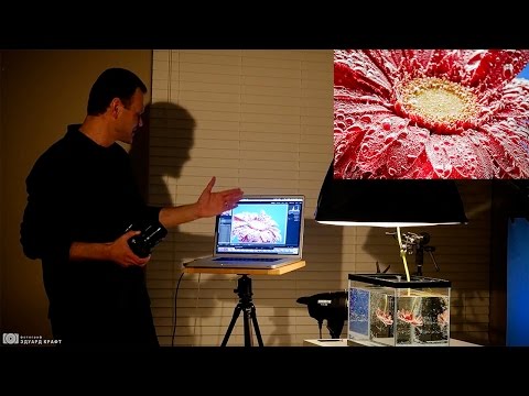 Видео: Фотосъемка в аквариуме. Снимаем открытку.
