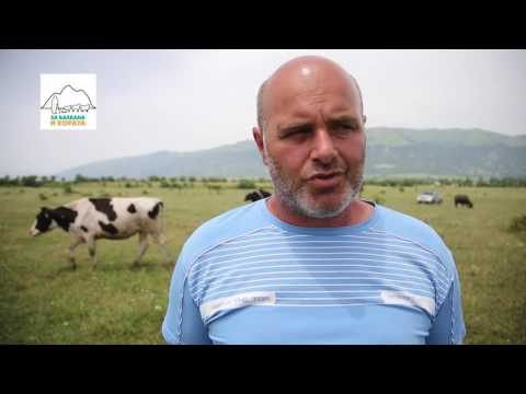 Видео: Семейна ферма Кулови с малка мандра по Наредба 26