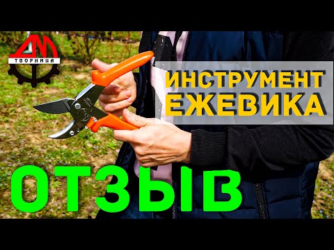 Видео: Ежевика / Инструменты / Отзыв "Добрый хутор" Часть 2