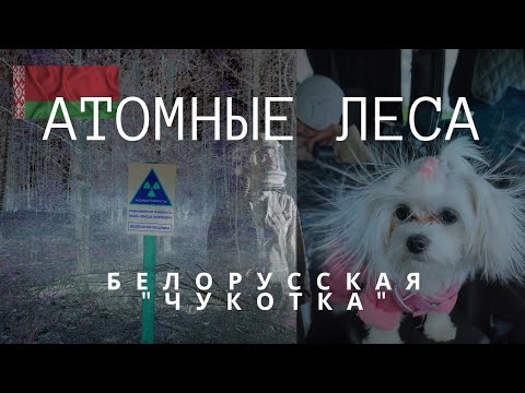 Видео: Белорусская"Чукотка".☢️Атомные леса..The Belarusian Chukotka.Atomic forests.