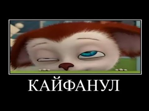 Видео: Муд Барбоскины демотиватор 18