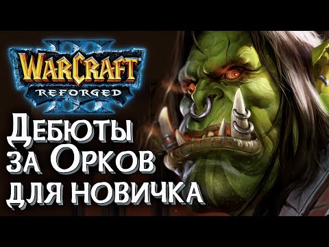 Видео: Дебюты за Орков для новичка: Разбираемся в Warcraft 3 Reforged