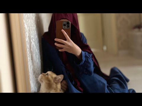 Видео: Моя история) Поставь лайк и подпишись😻#cat #shorts 