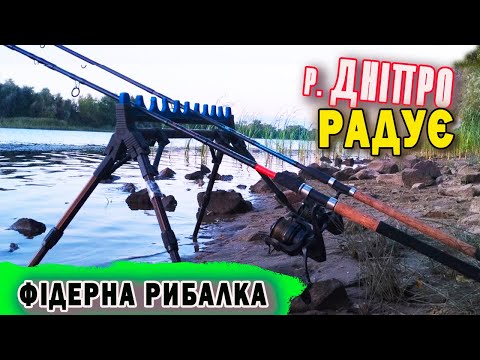 Видео: ✔️ДНІПРО РОЗДАЄ! ЛЕЩ, КАРАСЬ і навіть СУДАК🐟 на фідер! Фідерна  Рибалка на Дніпрі / з  Kruchkoff.