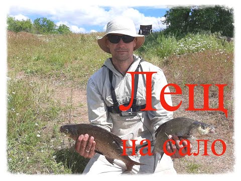Видео: Ловля ЛЕЩА на САЛО. Рыбалка на Александровском водохранилище с ночёвкой. Ловля леща на фидер и донки