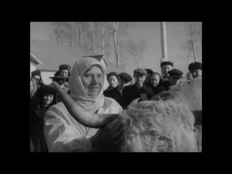 Видео: Как мы жили в СССР-1955 год
