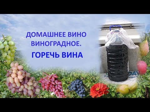 Видео: @Домашнее виноградное вино  Горечь вина