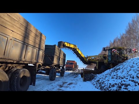 Видео: СВЕКЛА  - 6 ПЕРВЫЕ МОРОЗЫ-ПЕРВЫЕ ПРОБЛЕМЫ У КАМАЗА