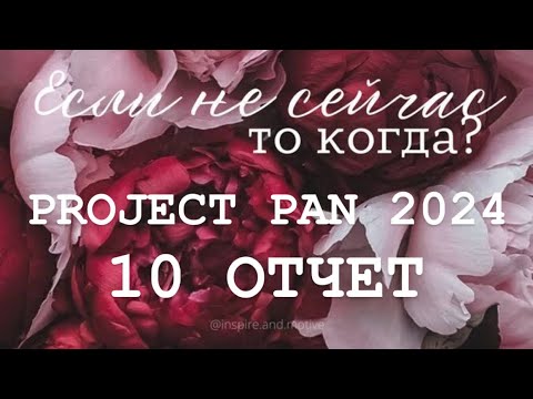 Видео: Бесконечный PROJECT PAN 2024 Отчет 10