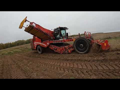 Видео: Уборка картофеля 