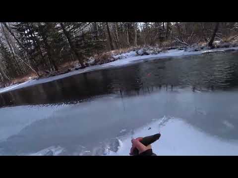 Видео: ХАРИУС Хапает из под Кромки ЛЬДА/ Рыбалка По Заберегам и Шуге  в Мороз !!!