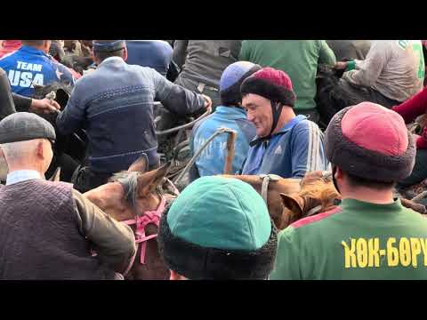 Видео: Майсал аканин улагы 3 болуп