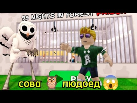 Видео: УБЕГАЮ ИЗ ТЮРЬМЫ ОТ СОВЫ ЛЮДОЕДА 😱 в ROBLOX 