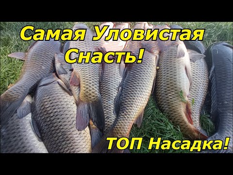 Видео: САМАЯ ПРОСТАЯ И САМАЯ УЛОВИСТАЯ Снасть для ловли Сазана и Карпа.