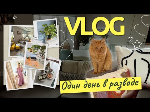 Видео: Подписчики были правы! Мой день в разводе