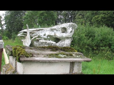 Видео: Место в Слонимском районе, где будет СТРАШНО интересно