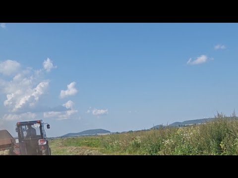 Видео: ТЮКУЄМ....