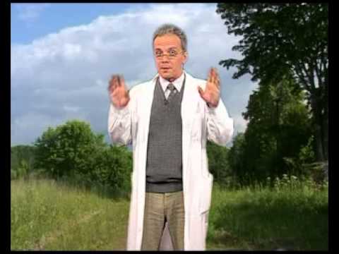 Видео: Химия 12. Химический элемент железо — Академия занимательных наук