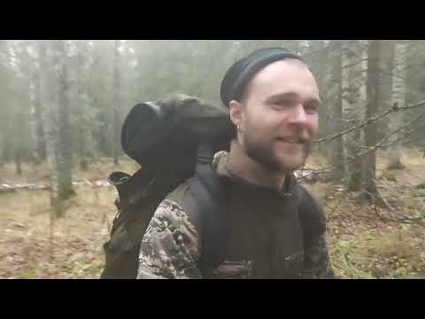 Видео: Всесезонный заработок. Хочешь заработать? - едь в лес!!!!