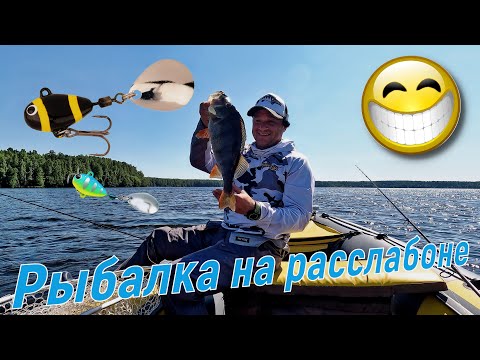 Видео: Окунь на Тейл - спиннер. Рыбалка на расслабоне