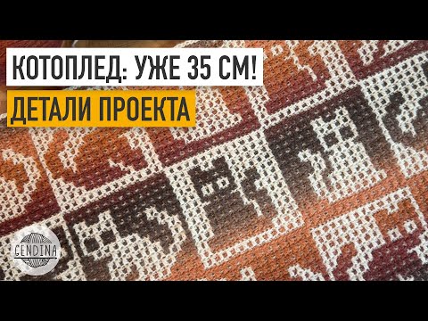 Видео: КотоПлед: треть связана, детали проекта