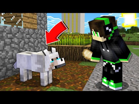 Видео: Пропавший Друг Вова СПАС Собачку в Майнкрафте 🐺 ! 100% ТРОЛЛИНГ Видео MINECRAFT