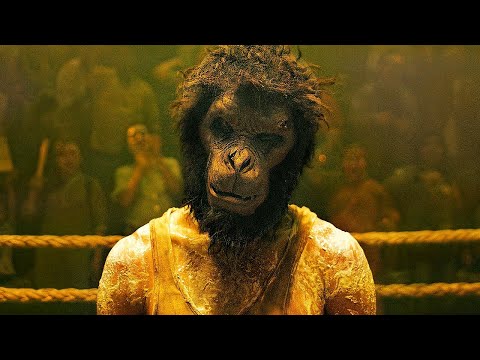 Видео: Ережесіз жекпе жектерге қатысатын Маймыл Бетпердесіндегі Еркек байлардың сазайын тарттырды