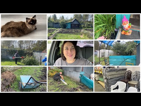 Видео: 😀СОСЕДИ ВЫКОПАЛИ У НАС КАРТОШКУ/⛱️ПЛАНИРУЕМ ЗОНУ ОТДЫХА🧹УБОРКА НА УЧАСТКЕ🛠️РЕМОНТ БЕСЕДКИ